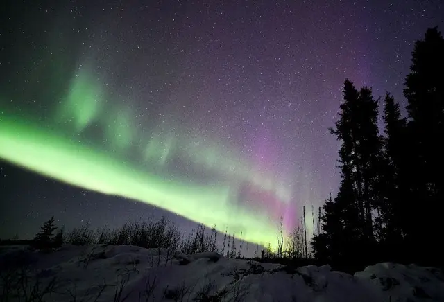 Northern lights over snowy boreal forest